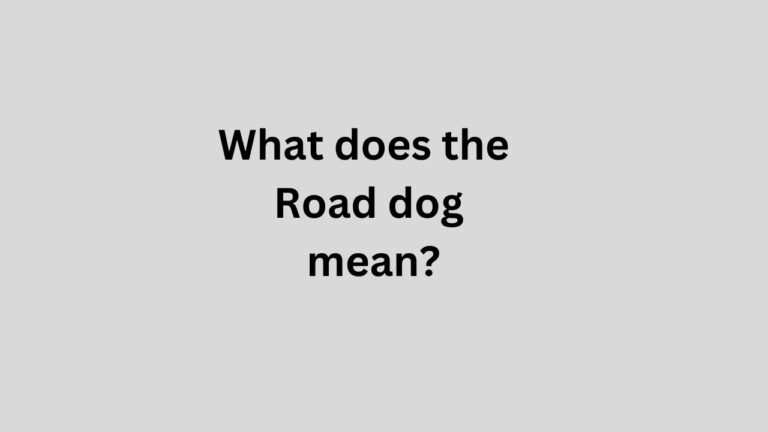 Road dog
