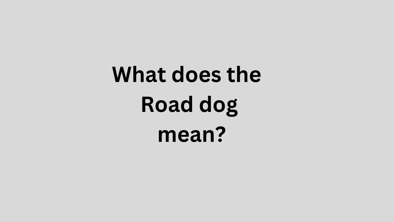 Road dog