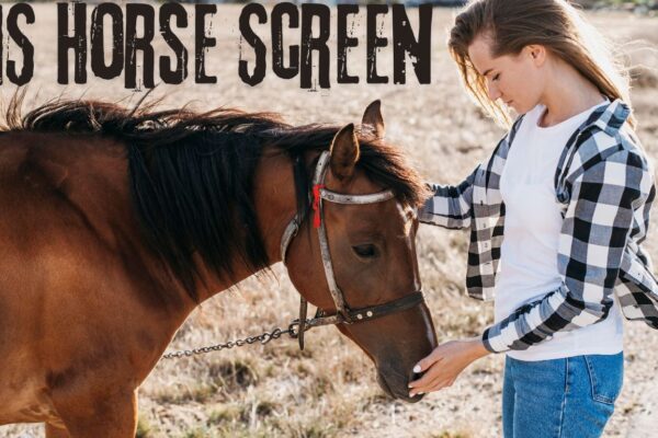 NS Horse Screen
