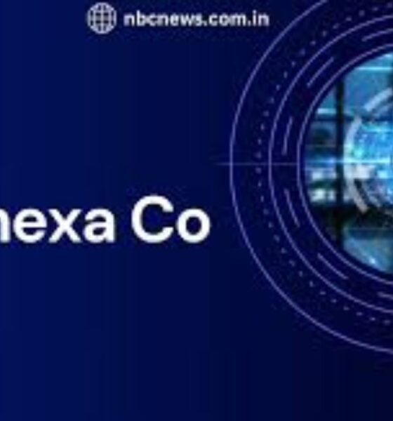 nebunexa co